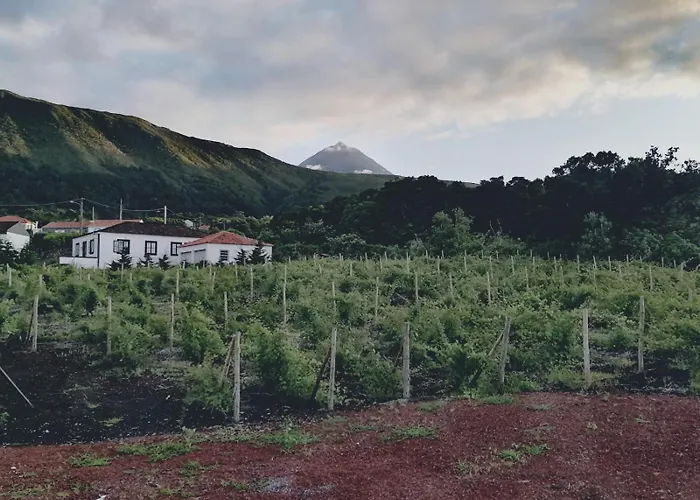 Casas Do Baleeiro - Casa Da Vinha *