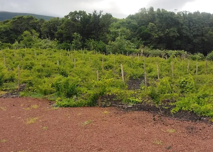 Casas Do Baleeiro - Casa Da Vinha Ferienhaus