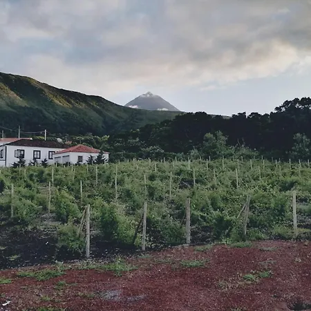 Casas Do Baleeiro - Casa Da Vinha *